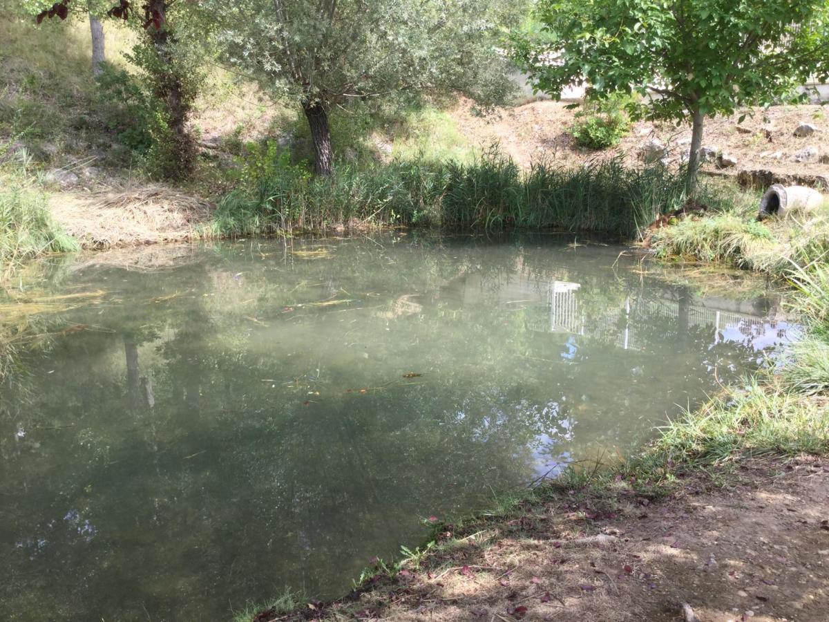Mazet Tournesol Aux Portes Du Verdon Saint-Martin-de-Bromes ภายนอก รูปภาพ